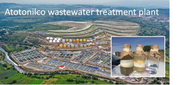 Molecular Monitoring of Microbial Contaminations