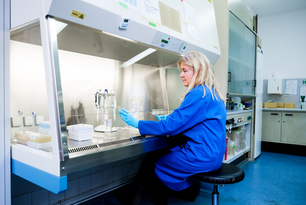 csm_4096-2731-max__1__52e63e03fc