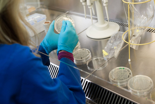 csm_4096-2731-max__13__d657718a59