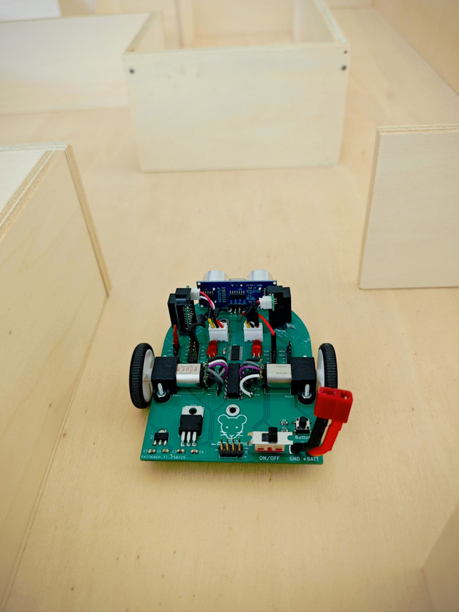 MicroRat_2