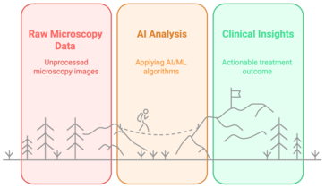 Quantitative Biology & Smart Microscopy