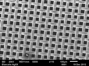 Antimicrobial Coatings / Biofilm Inhibitors